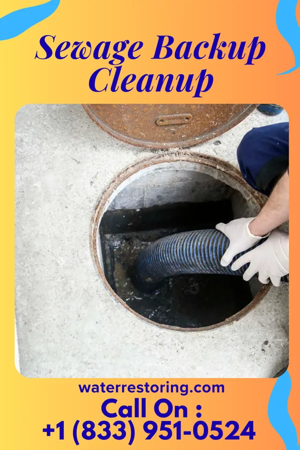Sewage Backup Cleanup in Urbana, OH
